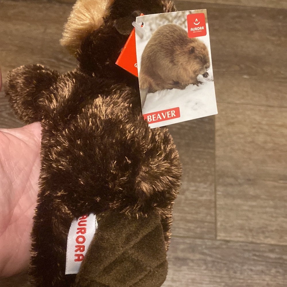 Aurora‎ beaver builder - Picture 2 of 3